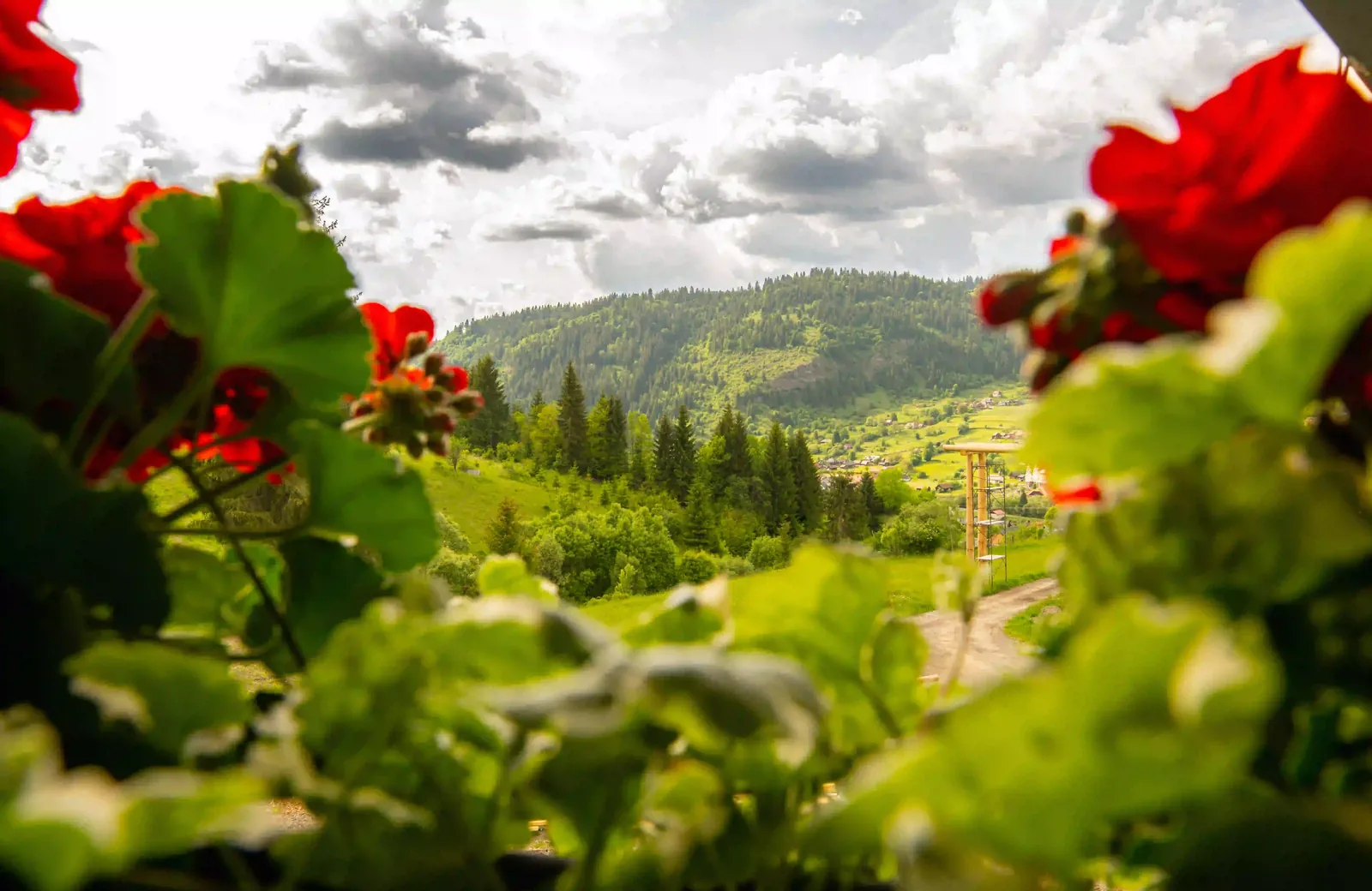 Balcon cu vedere spre vale — Meștera 9